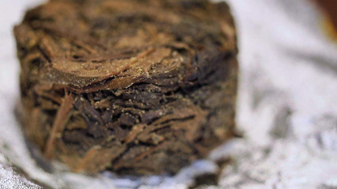 The Golden Secret of Dark Tea: Exploring Jin Hua in Fu Brick Tea