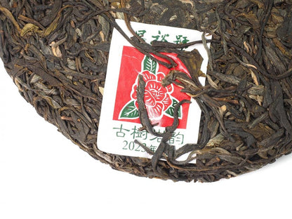 Cha Zhi Ji – Ancient Tree Rock Yun Pu-erh Tea (Bangdong Gushu 250+ Years)