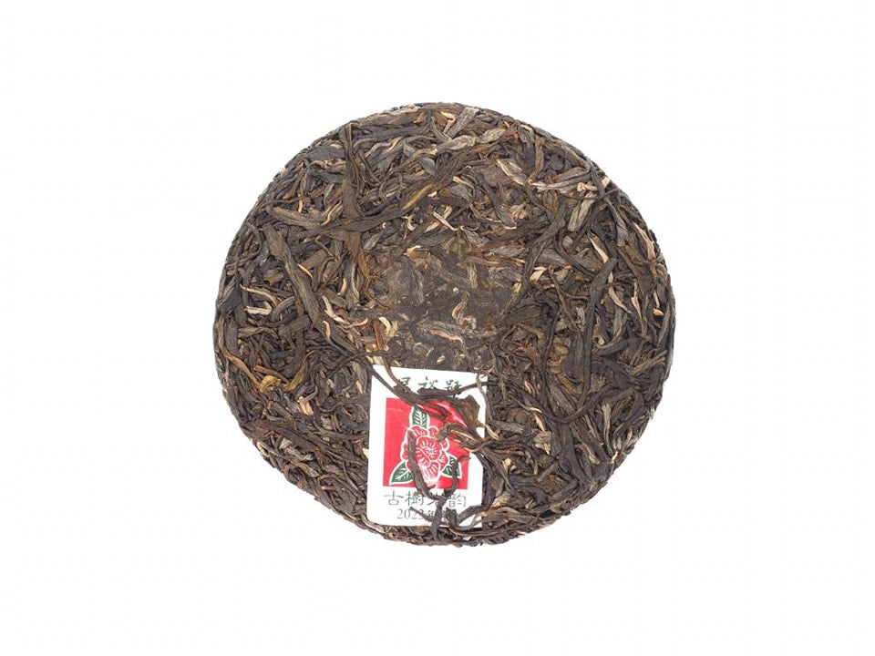 Cha Zhi Ji – Ancient Tree Rock Yun Pu-erh Tea (Bangdong Gushu 250+ Years)