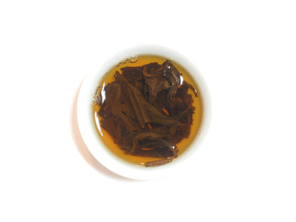 Brewed Fo Shou tea leaves steeping in amber liquor