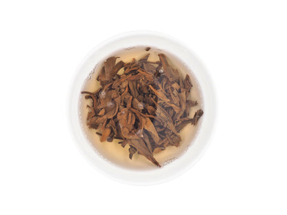 Cha Zhi Ji – Zheng Ding Jia Zhai Pu-erh Tea (2009) | 15-Year Aged Ancient Tree Raw Pu-erh from Yiwu